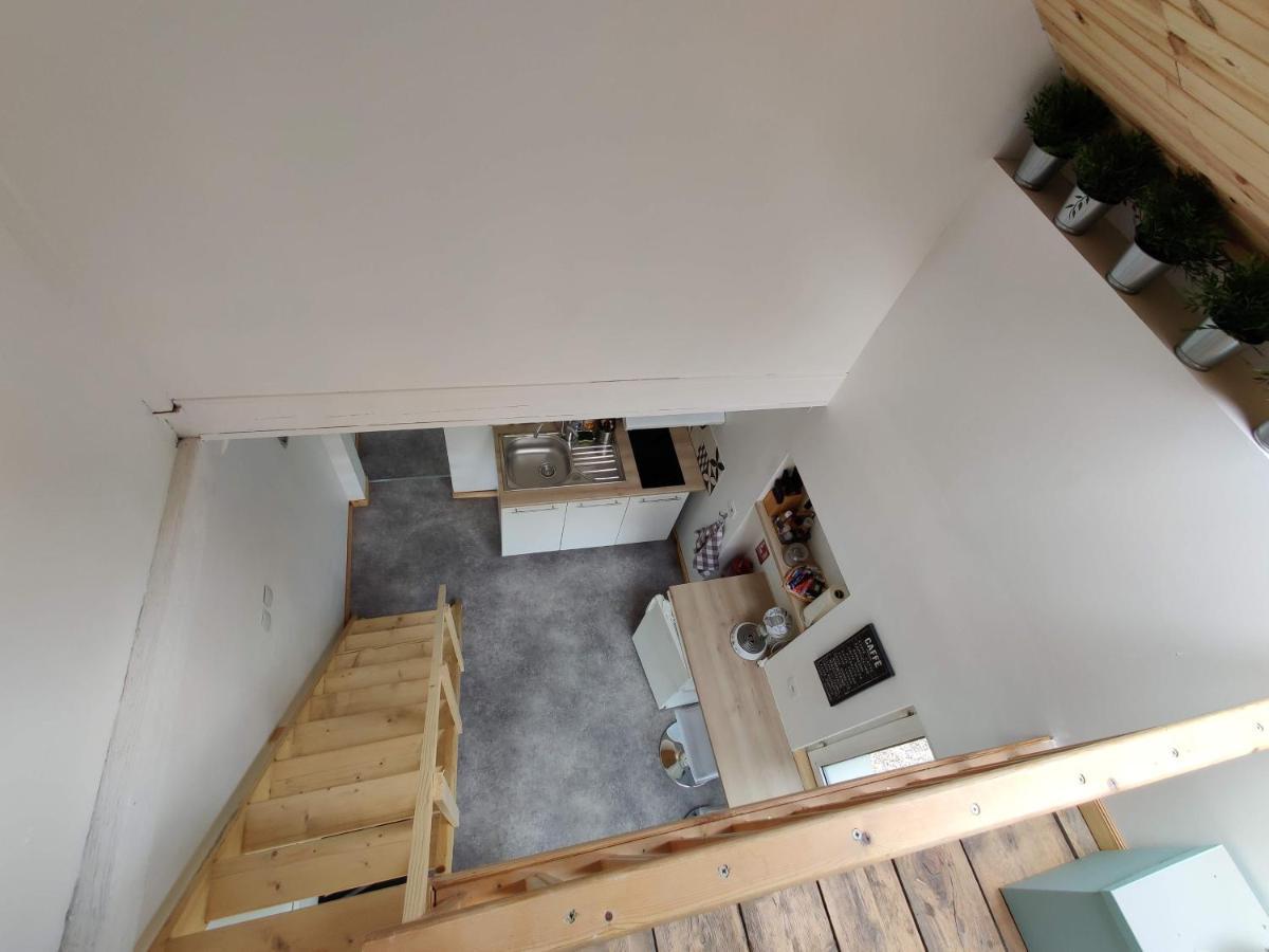 Studio Mezzanine Chez Papou, Ville Et Foret 스트라스부르 외부 사진