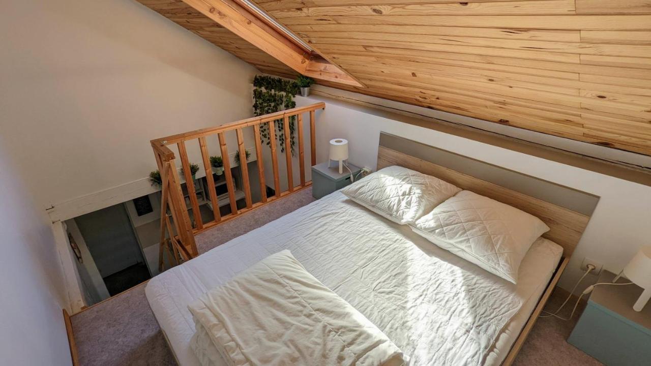 Studio Mezzanine Chez Papou, Ville Et Foret 스트라스부르 외부 사진